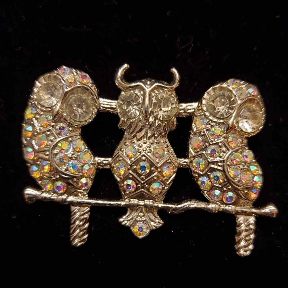🦉📌 Owl Brooch